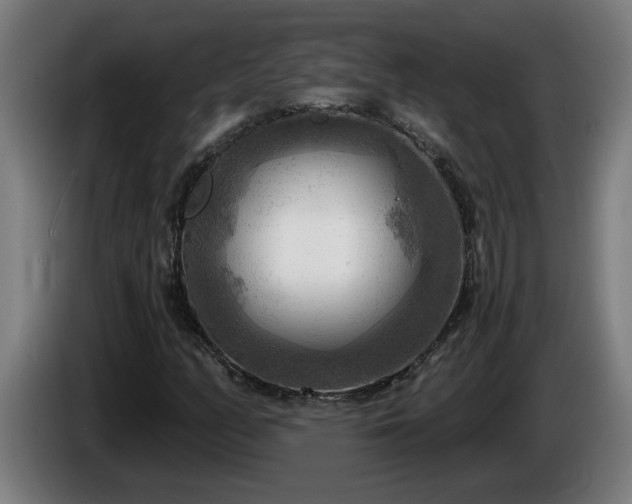 X0000086001158200703300941