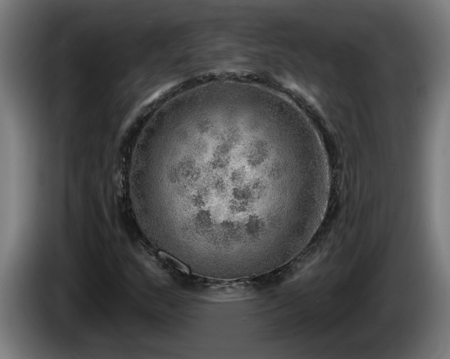 X0000086001159200703300941