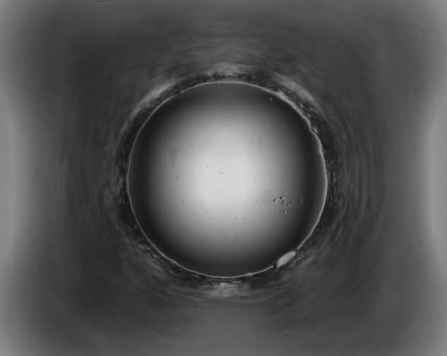 X0000086001160200703300941