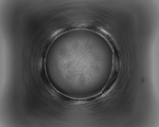 X0000086001161200703300941