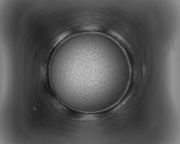 X0000086001162200703300941