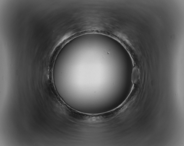 X0000086001165200703300941