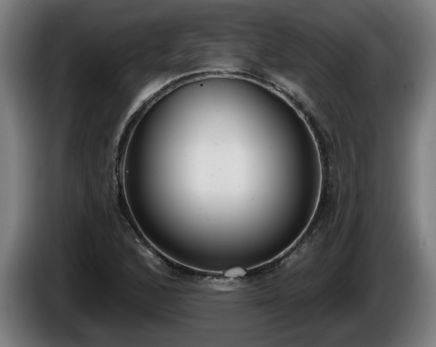 X0000086001168200703300941