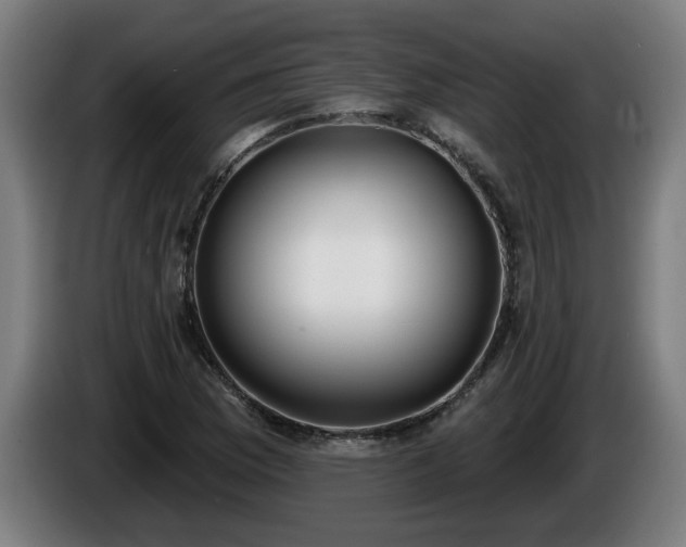 X0000086001169200703300941