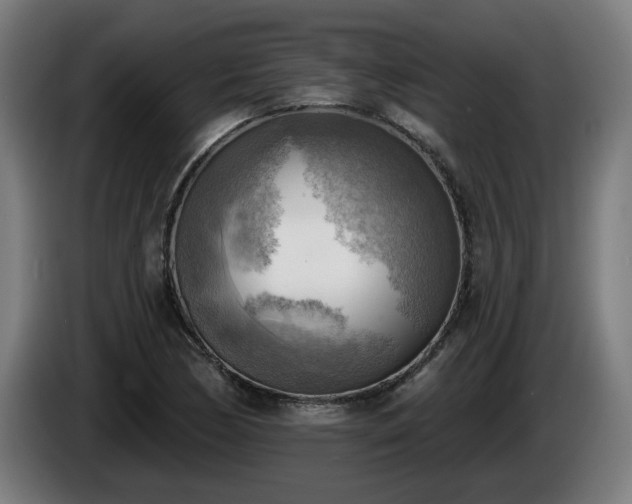 X0000086001170200703300941