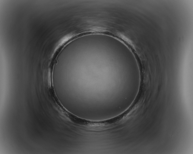 X0000086001171200703300941