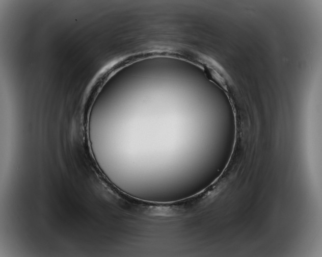 X0000086001172200703300941