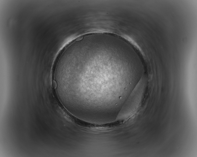 X0000086001173200703300941