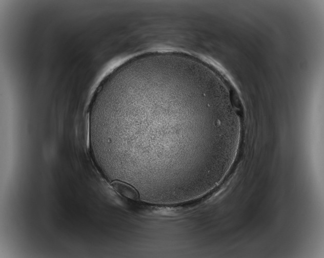 X0000086001175200703300941