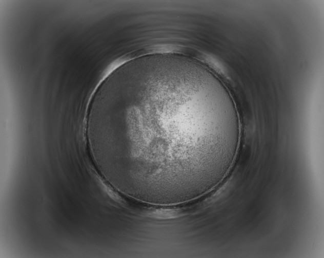 X0000086001178200703300941