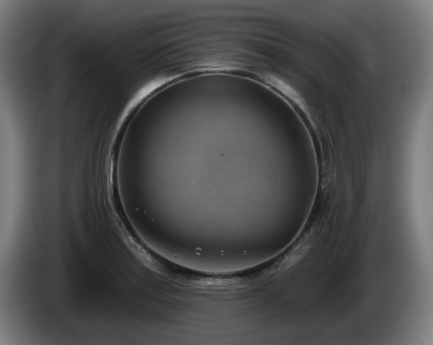 X0000086001179200703300941