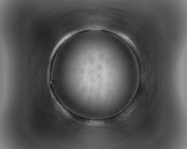 X0000086001183200703300941