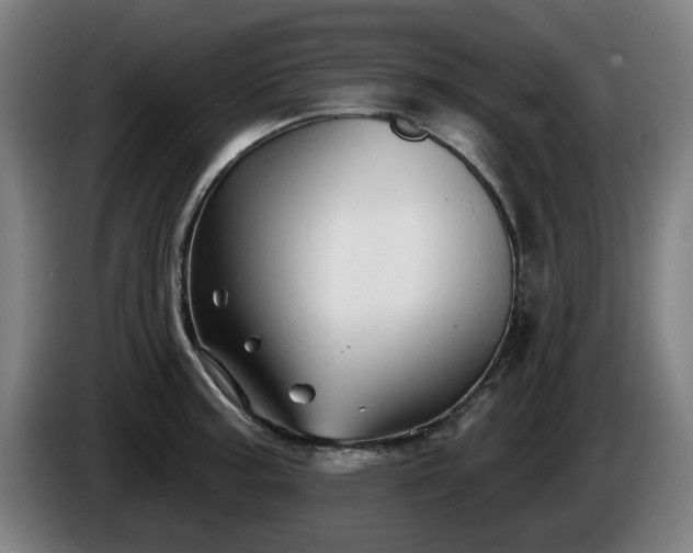 X0000086001187200703300941