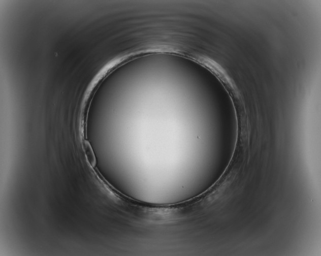 X0000086001188200703300941