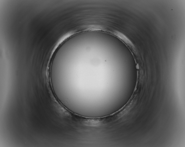 X0000086001190200703300941