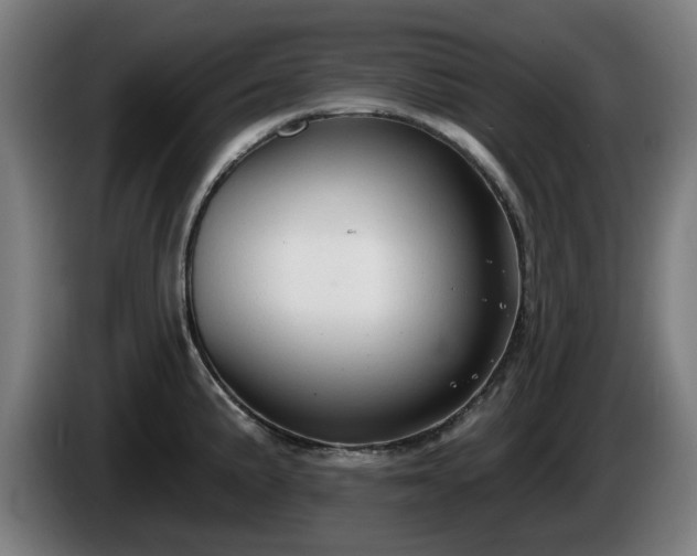 X0000086001191200703300941