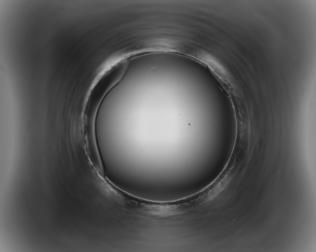 X0000086001192200703300941