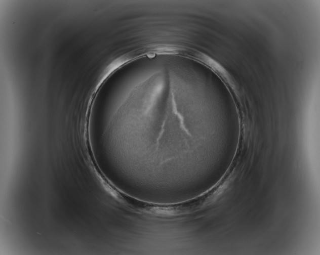 X0000086001194200703300941