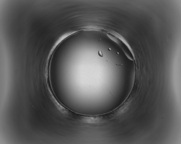 X0000086001195200703300941