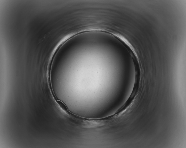 X0000086001197200703300941