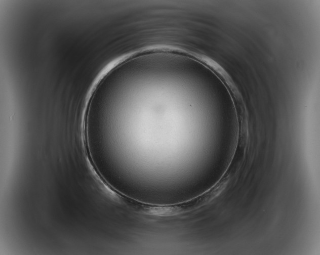 X0000086001199200703300941