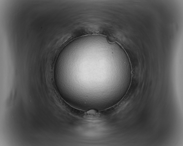 X0000086001201200703300940