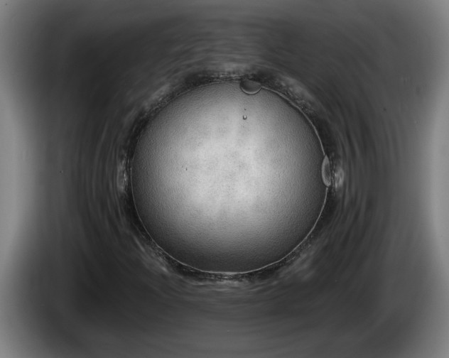 X0000086001204200703300940