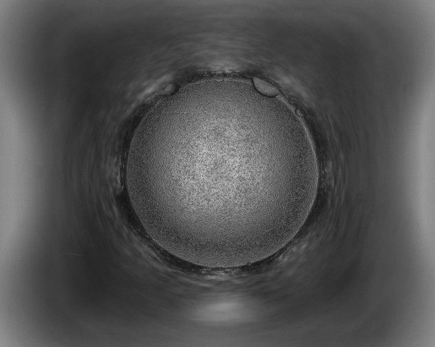 X0000086001205200703300940