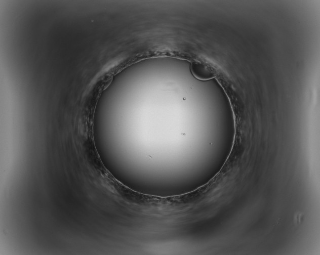 X0000086001207200703300940