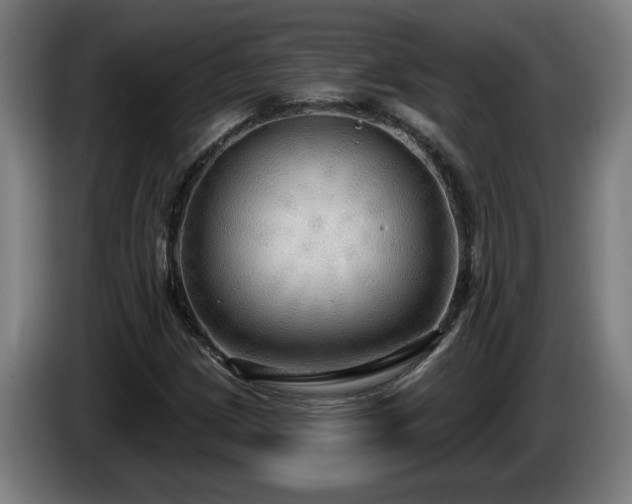 X0000086001209200703300940