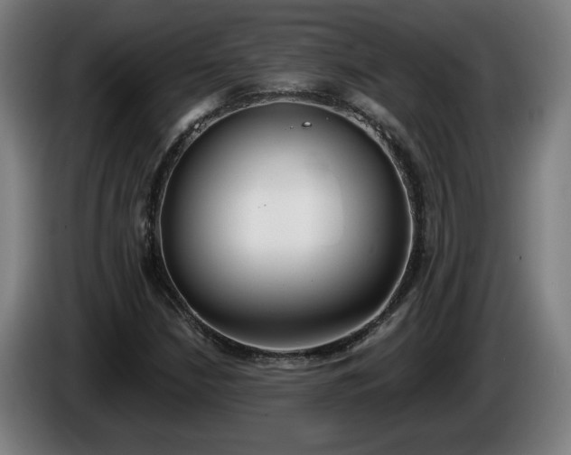 X0000086001210200703300940