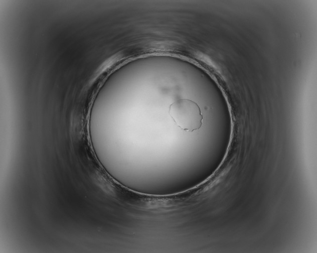 X0000086001211200703300940