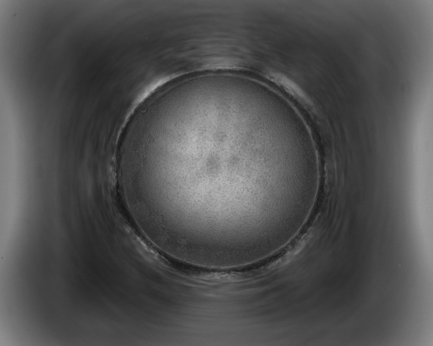 X0000086001212200703300940