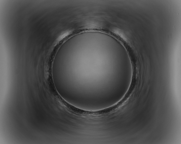 X0000086001213200703300940