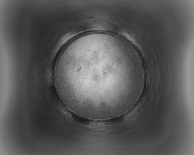 X0000086001215200703300940