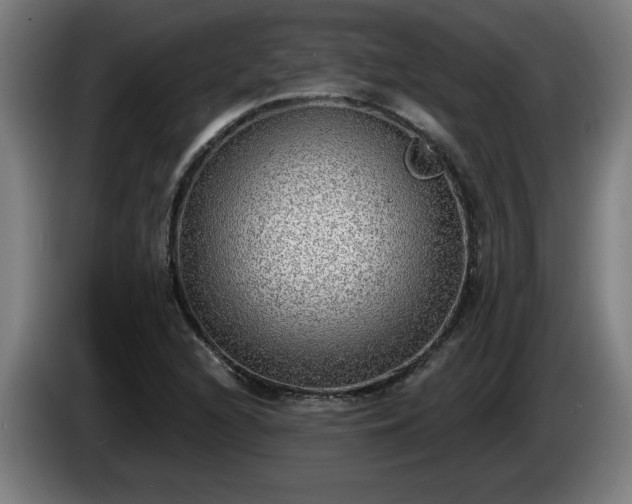 X0000086001216200703300940