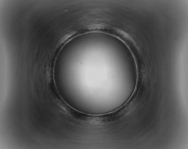 X0000086001217200703300940