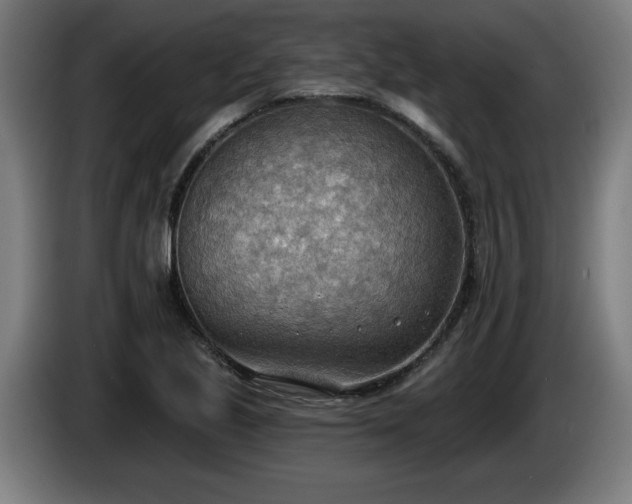 X0000086001221200703300940