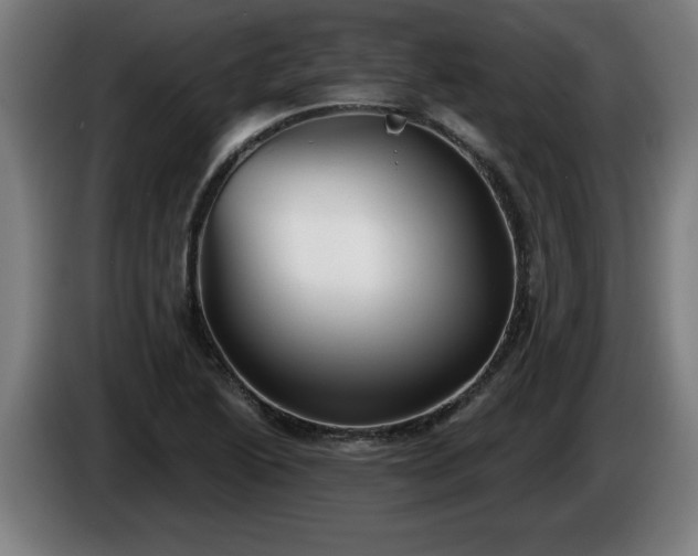 X0000086001222200703300940