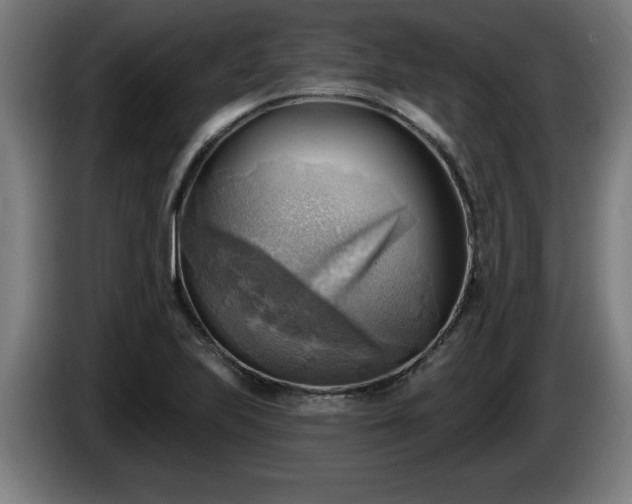 X0000086001223200703300940