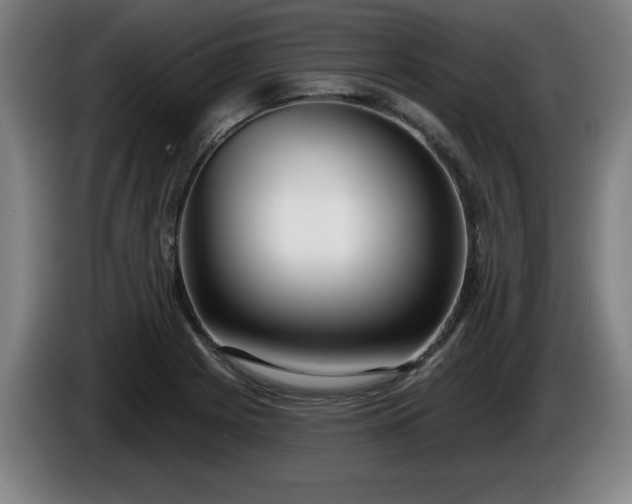 X0000086001225200703300940