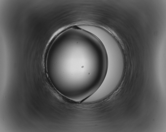 X0000086001230200703300940