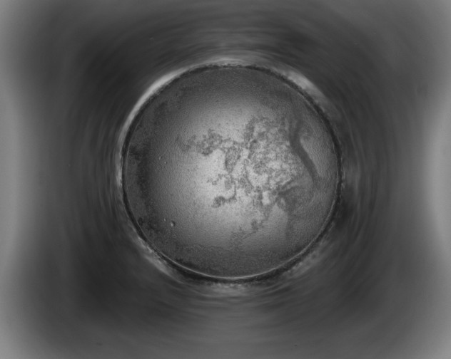 X0000086001232200703300940