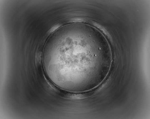 X0000086001233200703300940