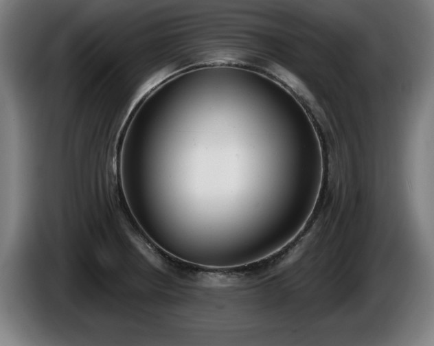 X0000086001234200703300940