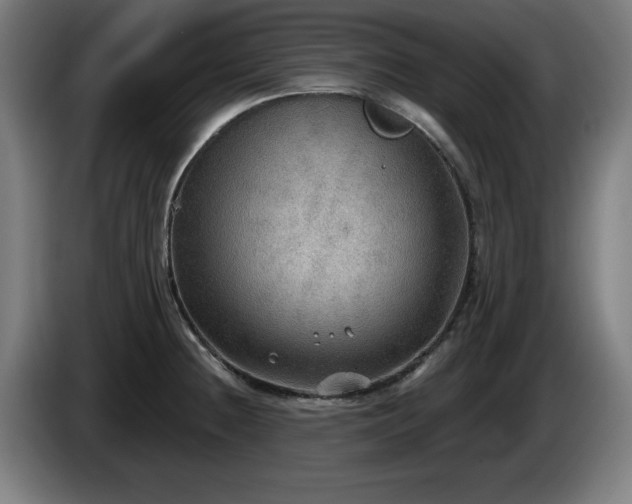 X0000086001236200703300940