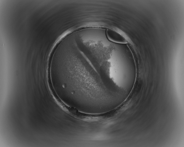 X0000086001237200703300940