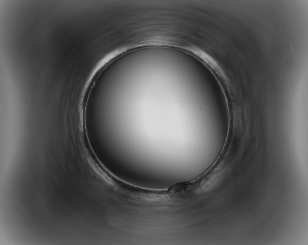 X0000086001238200703300940