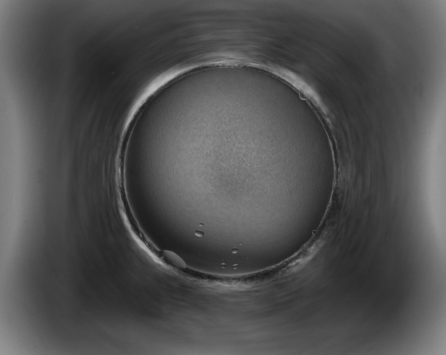 X0000086001239200703300940