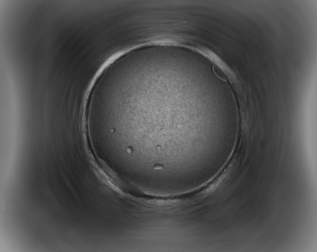 X0000086001240200703300940